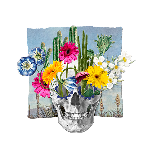 San Mateo Yoloxochitlan